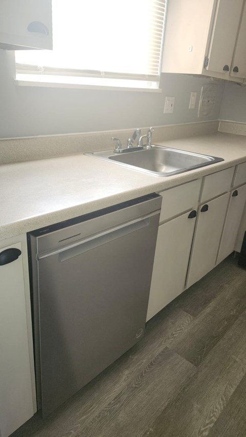 A modern kitchen with a dishwasher and sink.
