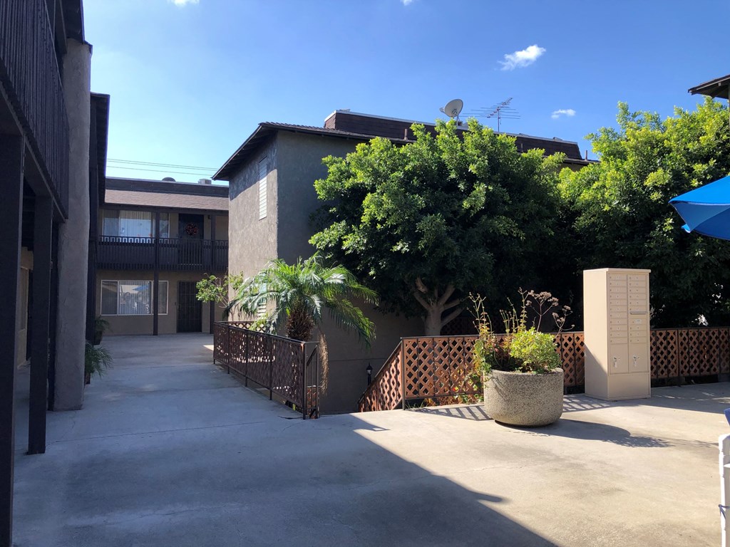 the courtyard in front of our building