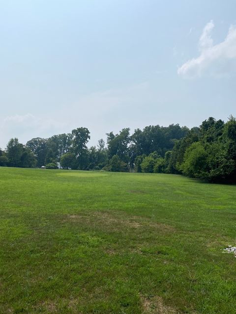 a large grass field with trees in the background