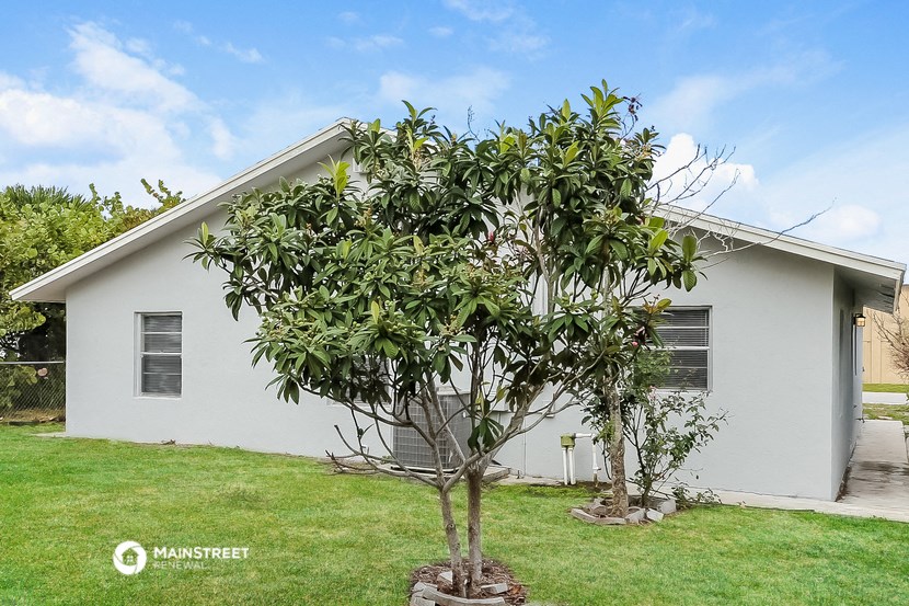 a small white house with a tree in front of it