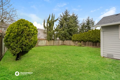 a backyard with a fence and a green lawn and a shed