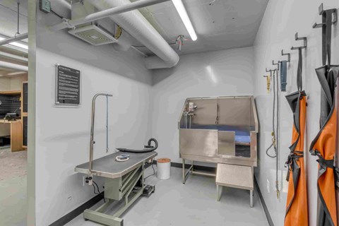 A medical room with a bed and a sink.