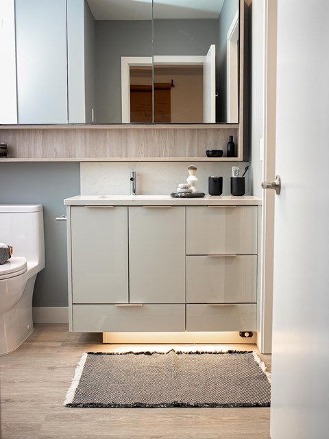 A bathroom with a white sink and a mirror above it.