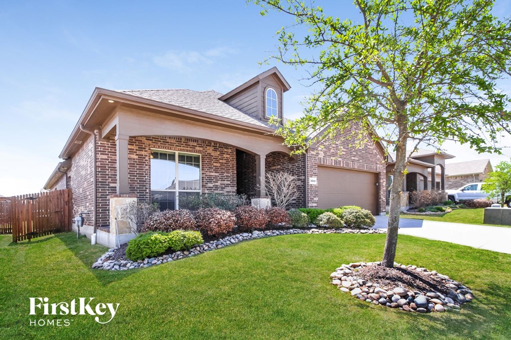 a home with a tree in the front yard