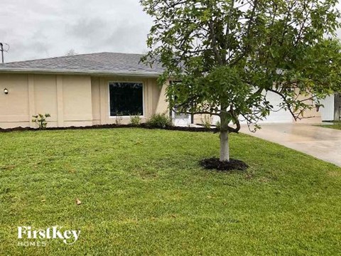 a tree in the grass in front of a house