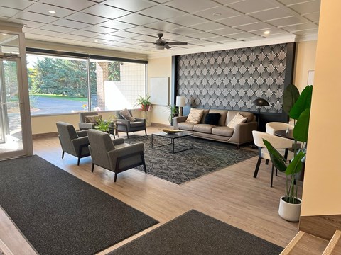 A living room with a grey rug and a grey sofa.