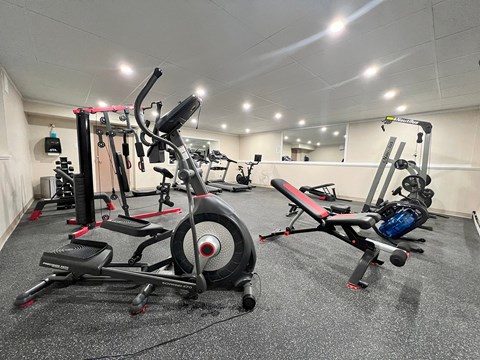 A gym with a row of exercise bikes.