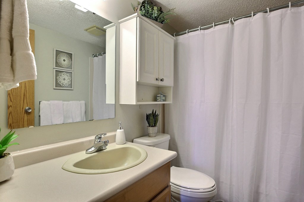a bathroom with a sink and a toilet and a shower