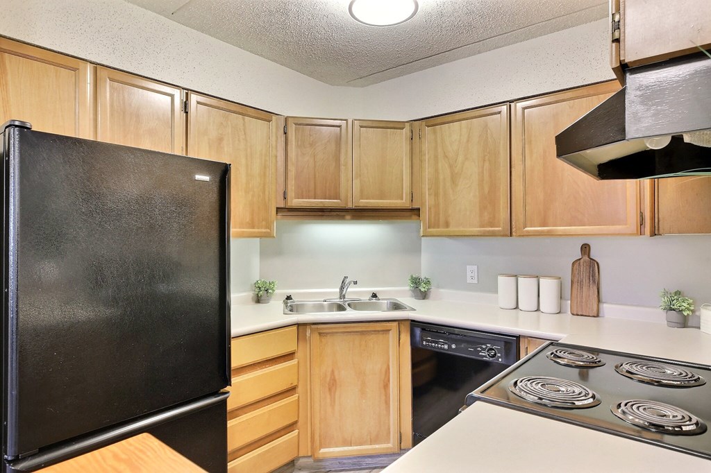the preserve at ballantyne commons apartment kitchen with stove refrigerator and sink