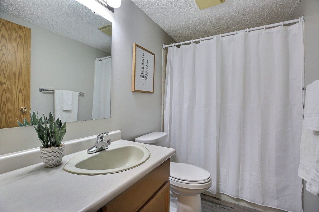 a bathroom with a white shower curtain and a sink and a toilet