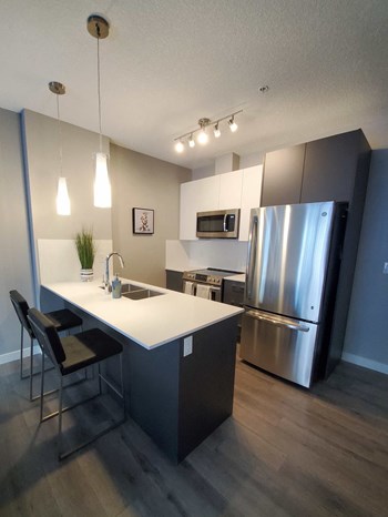 11303 105 Ave 1-3 Beds Apartment for Rent - Photo Gallery 4