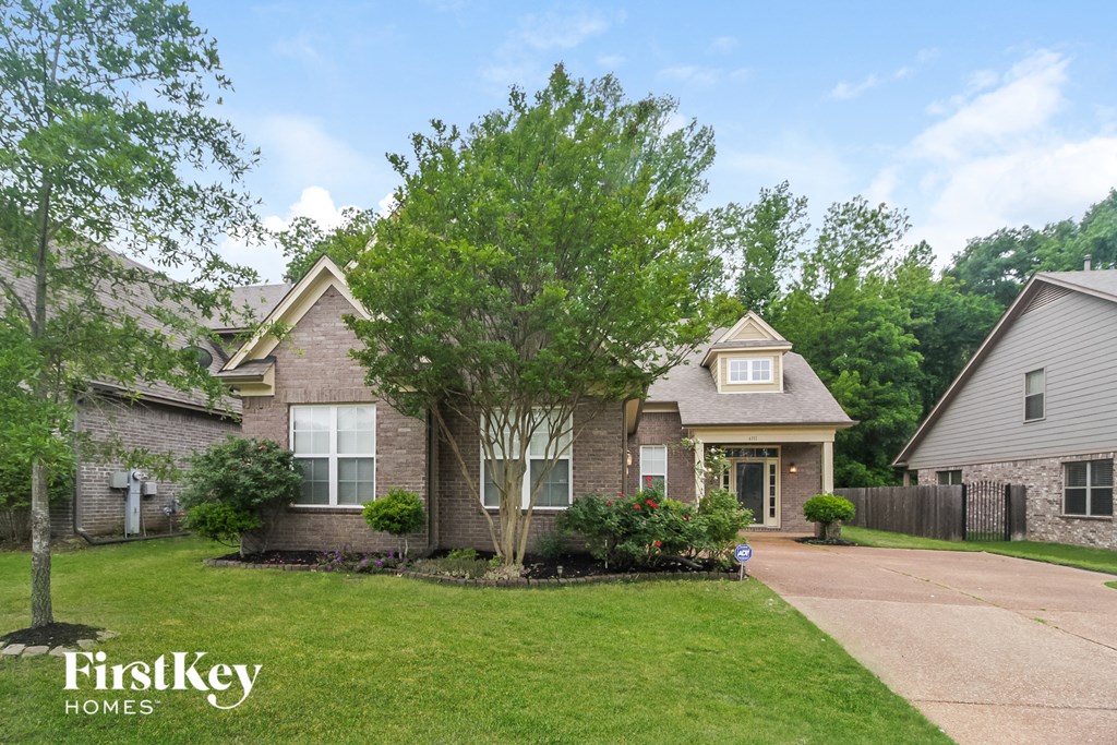 a brick house with a tree in the yard and a driveway