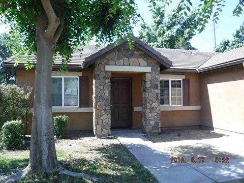 a front view of a house with a sidewalk and a tree