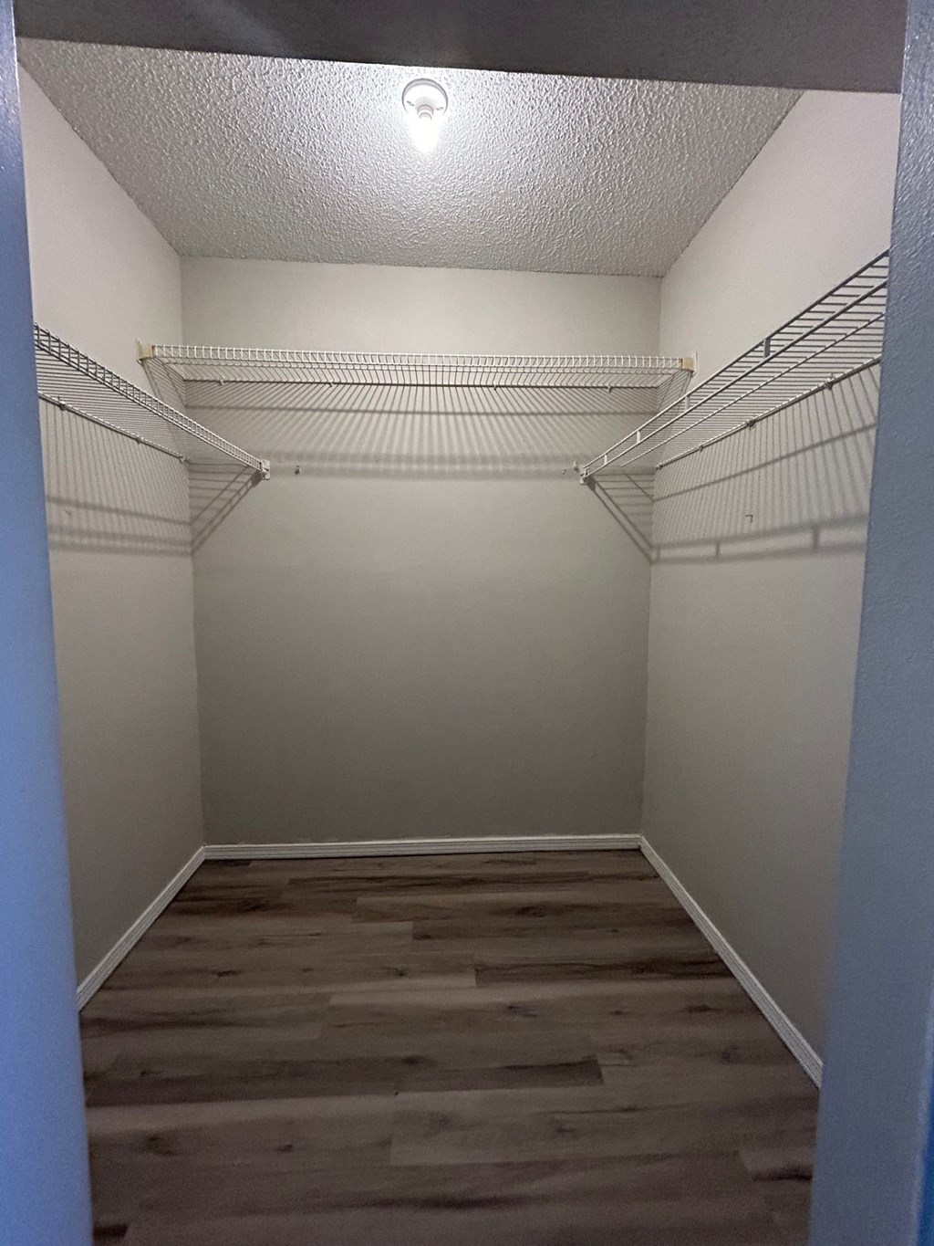 A walk in closet with shelves and a light on the ceiling.