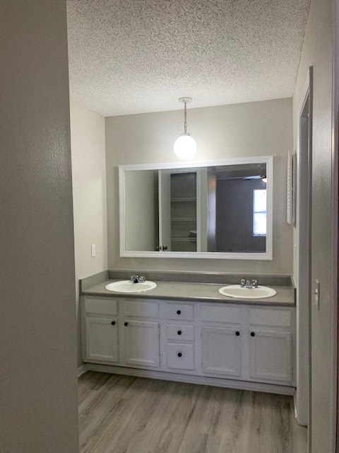 A bathroom with a double sink and a large mirror.