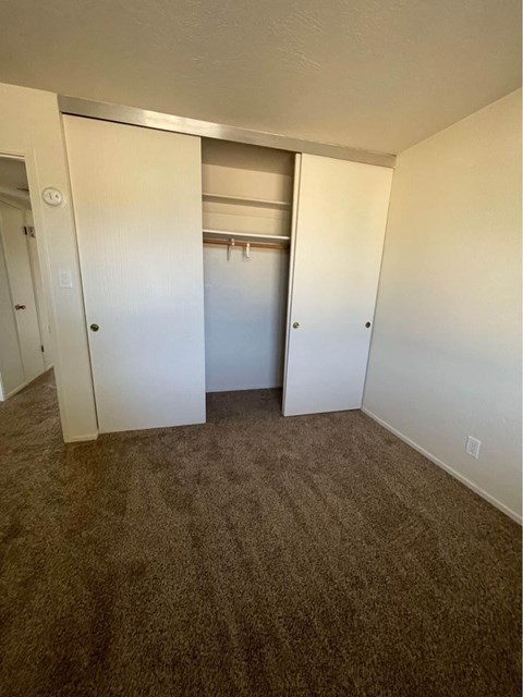 A room with a carpeted floor and a closet with a door open.