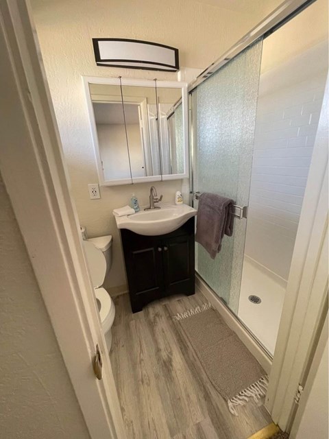 VITA APARTMENTS 24607 AMADOR STREET Studio-2 Beds Apartment for Rent