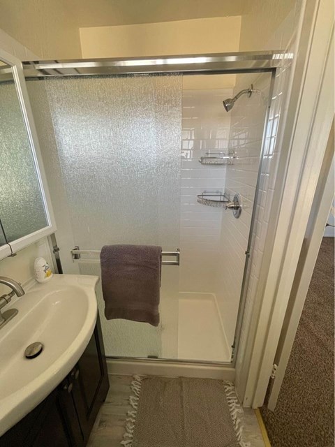 A bathroom with a white sink and a glass shower door.
