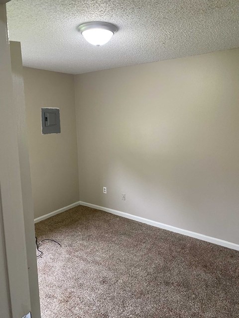 A room with a carpeted floor and a light on the ceiling.