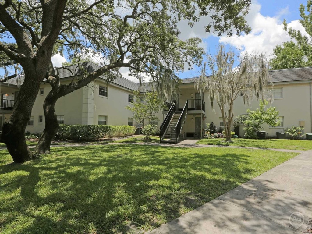 A tree in front of a building with a slide in the yard.