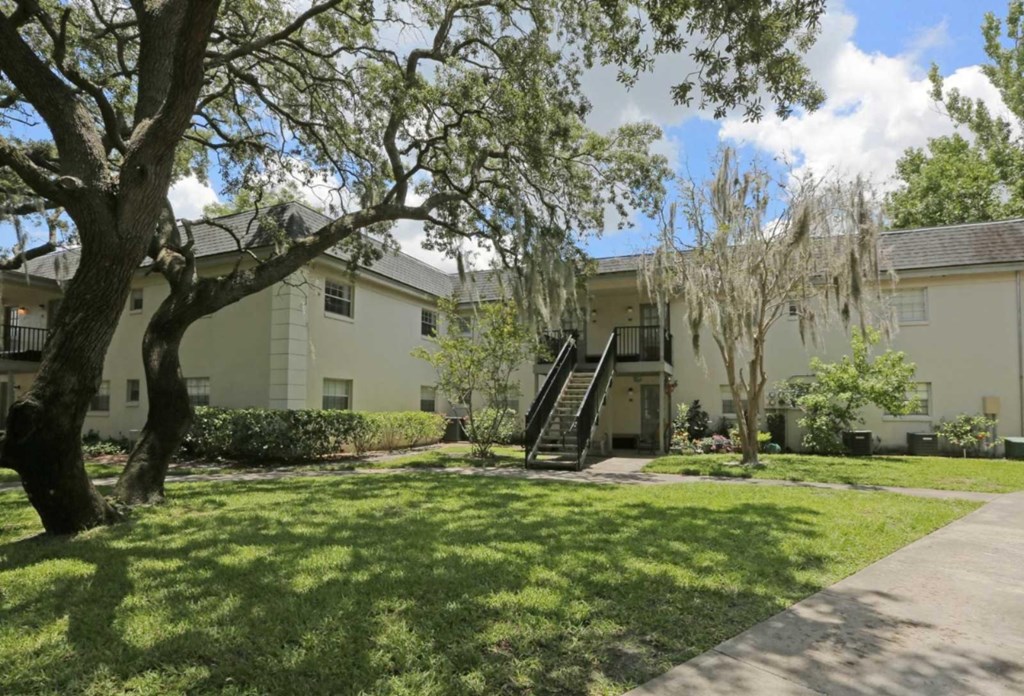 A tree with Spanish moss hanging from it is in front of a white building.
