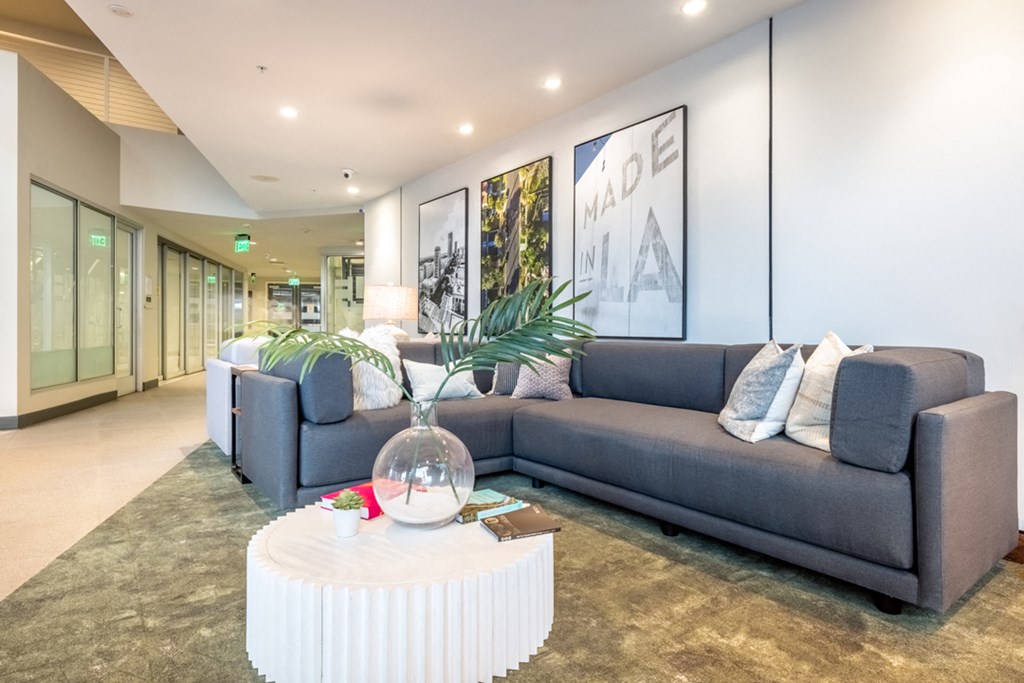 A living room with a grey couch, a white coffee table, and a plant on the table.