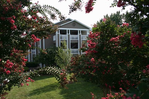 A house with a white porch is surrounded by green grass and red flowers.