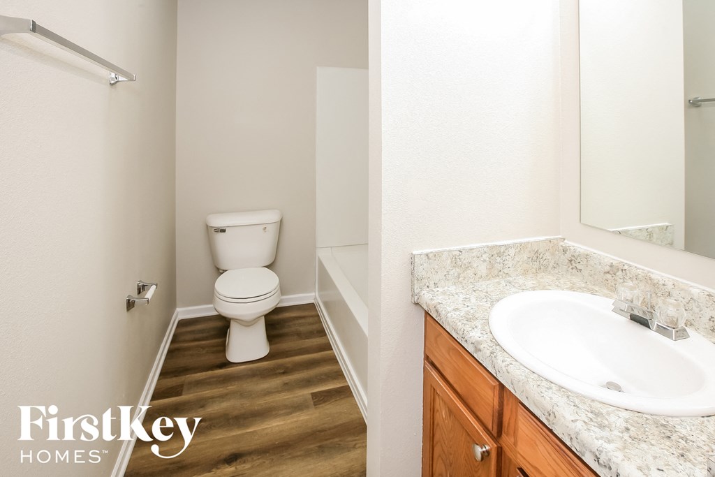 a bathroom with a sink and toilet and a mirror