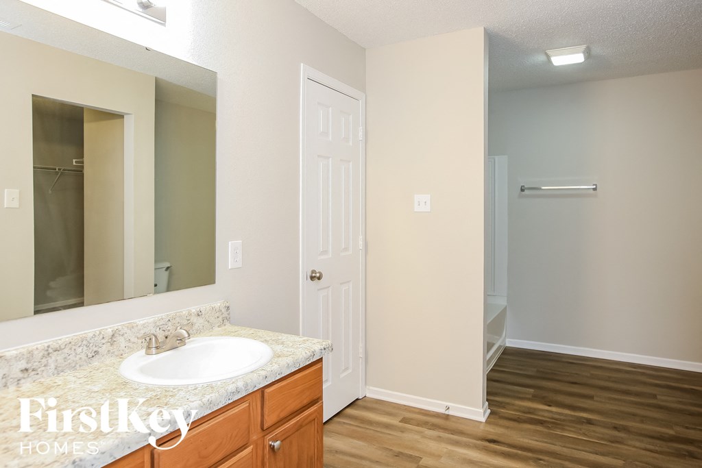 a bathroom with a sink and a mirror and a closet