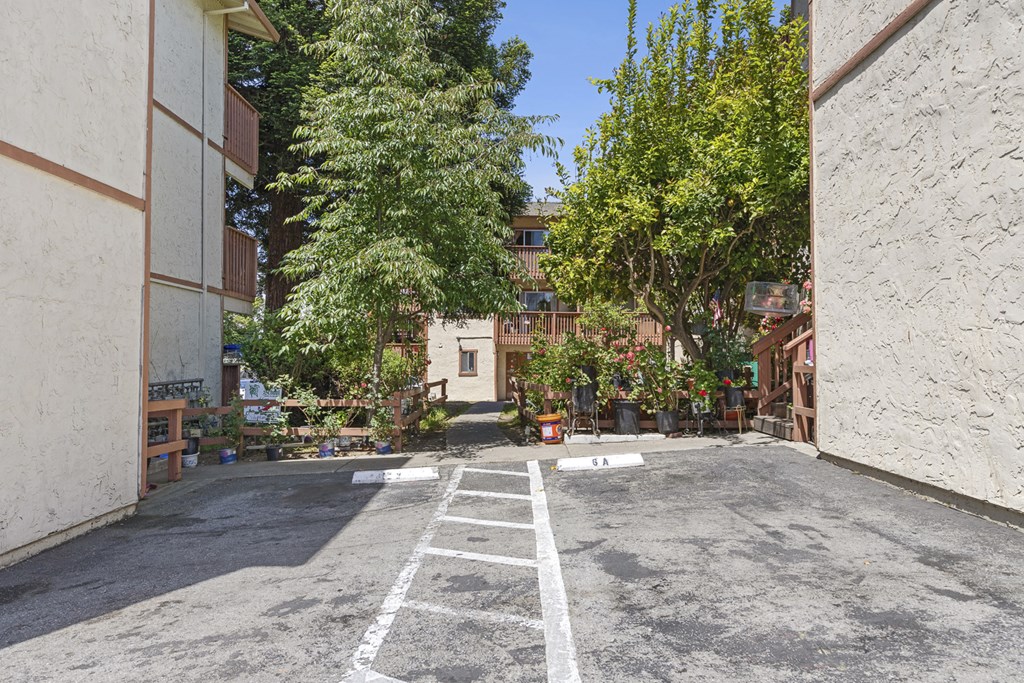 an empty parking lot with trees and a building in the background