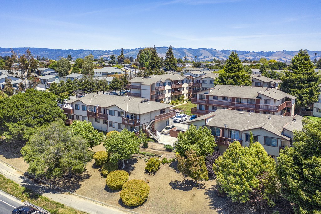 an aerial view of homes in a neighborhood with trees and mountains