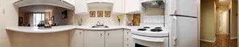 130 Somerset St. W. 1-2 Beds Apartment for Rent - Photo Gallery 3
