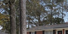 1000A Elm Street 1-3 Beds Apartment for Rent - Photo Gallery 2