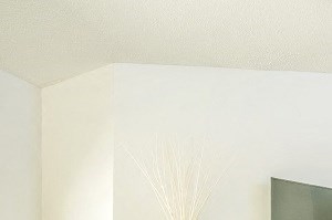1 Bedroom Apartments In Augusta