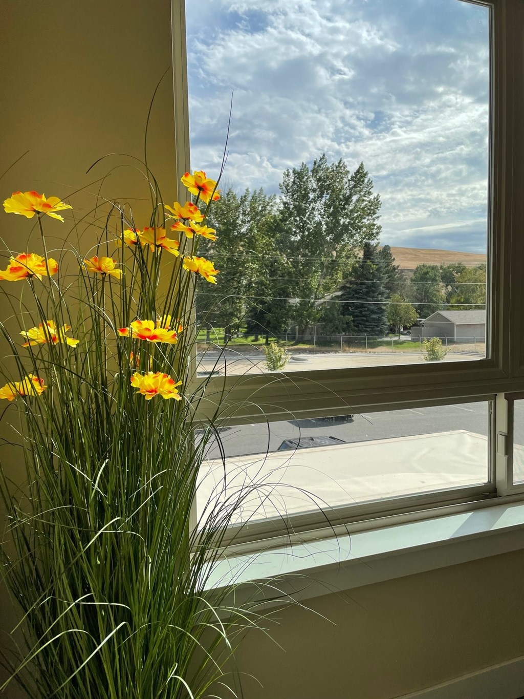 A vase of yellow flowers sits on a windowsill.
