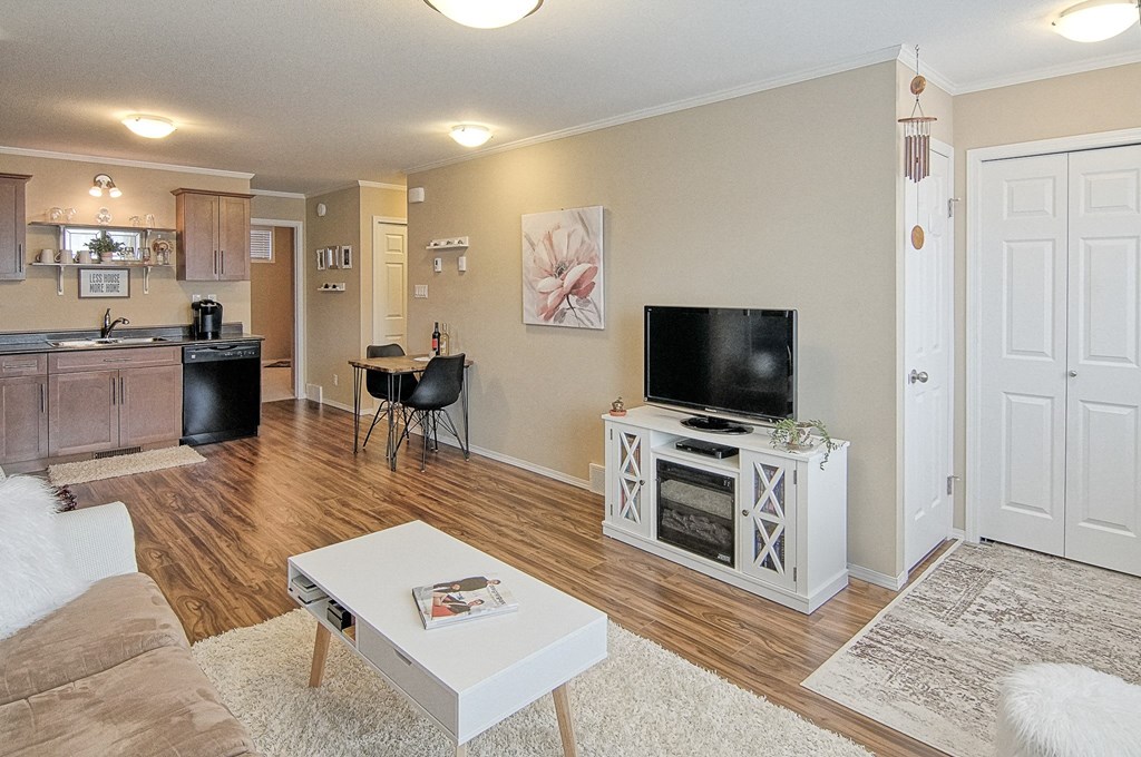 a living room with a couch and a television
