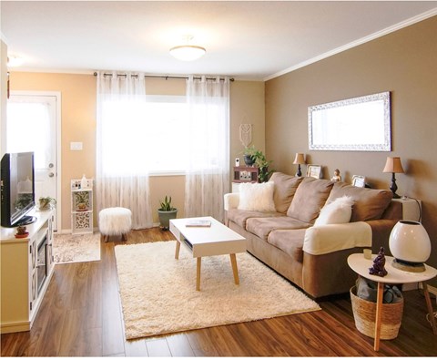 A living room with a brown couch, a white coffee table, and a white rug.
