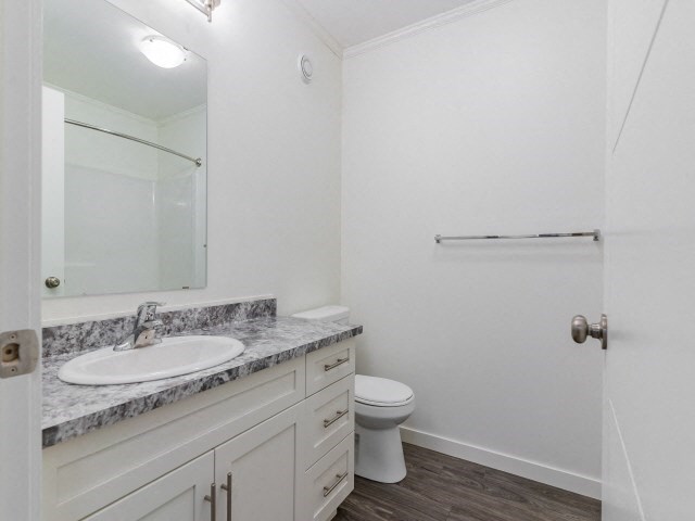 a bathroom with a sink and a toilet and a mirror