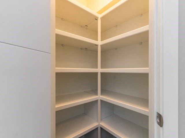 a cupboard with empty shelves in a closet