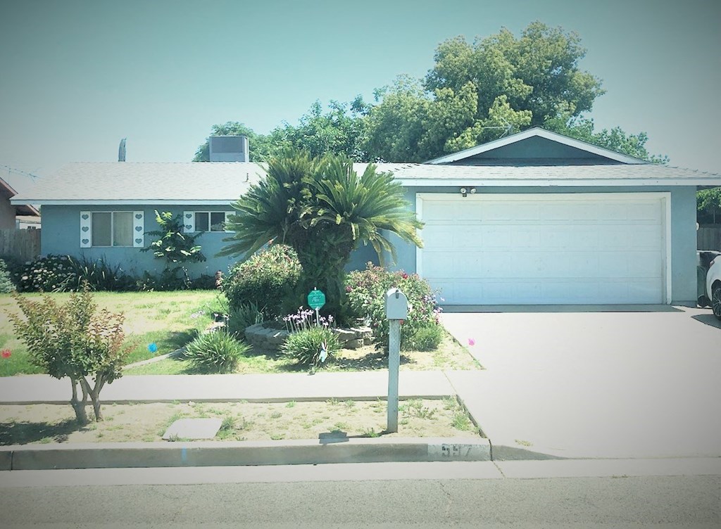 a house with a palm tree in front of a driveway