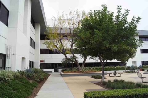 A white building with a tree in front of it.