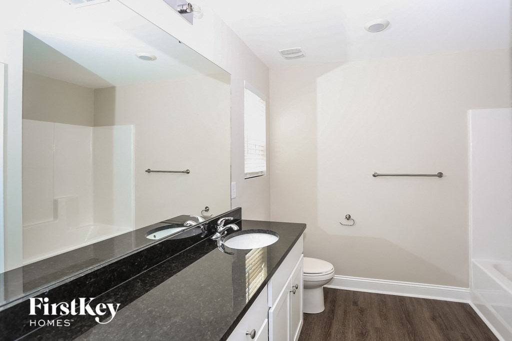 a bathroom with a sink and a toilet and a mirror