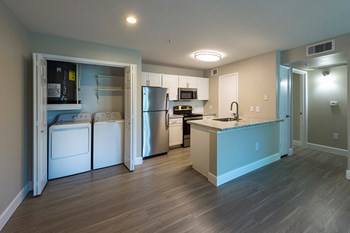 apartment washer/dryer and kitchen