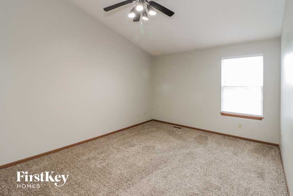 A carpeted room with a ceiling fan and a window.