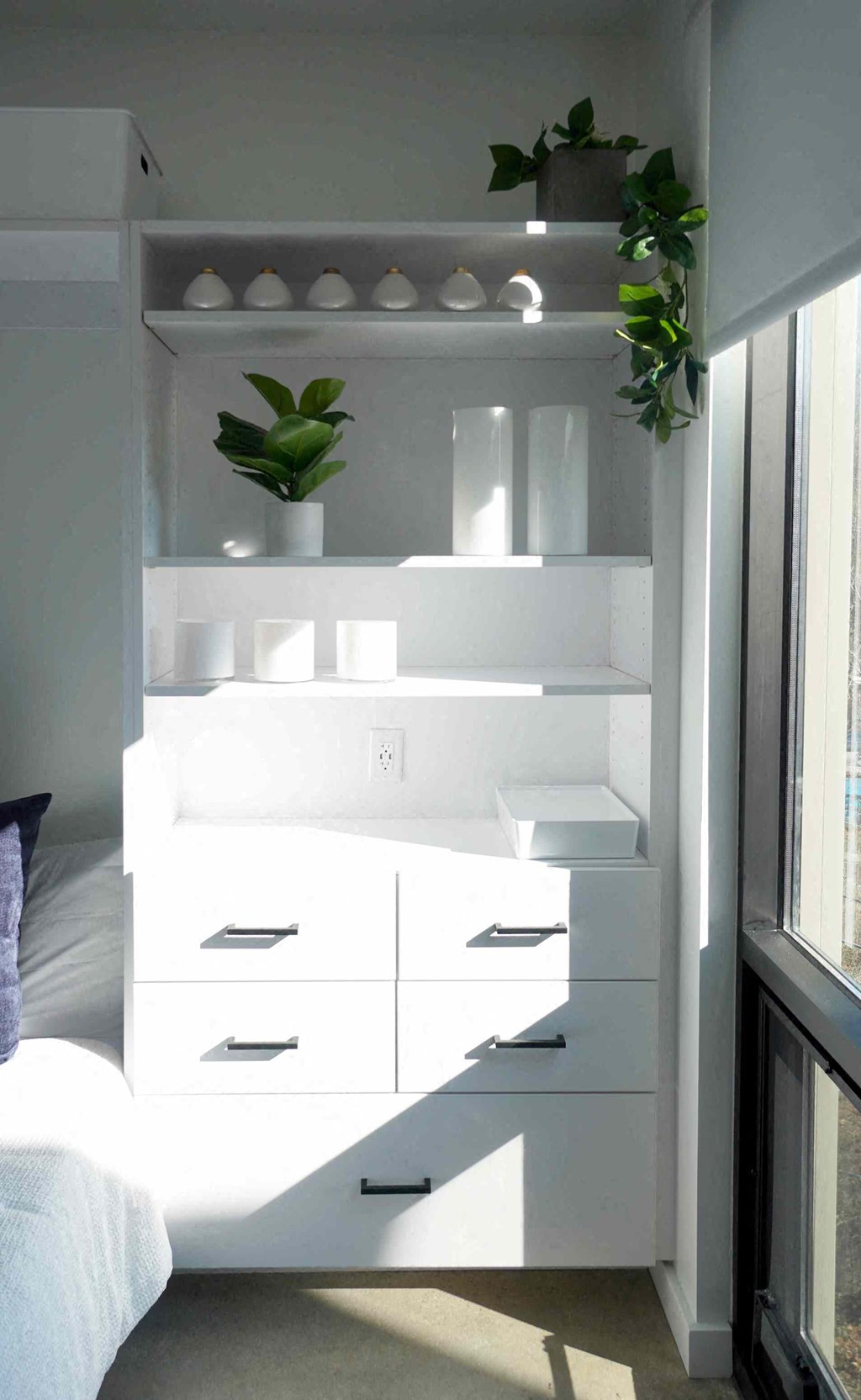 a white closet with white drawers and a plant