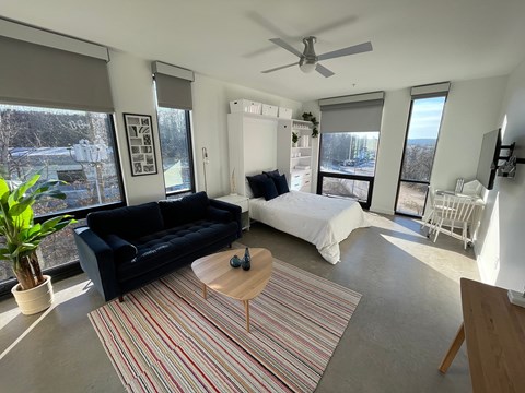 A living room with a black couch and a striped rug.