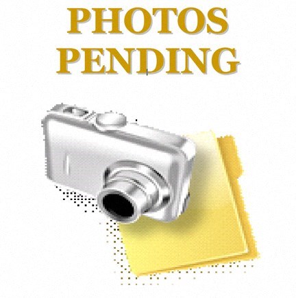 A camera on a yellow background with text saying "Photos Pending".