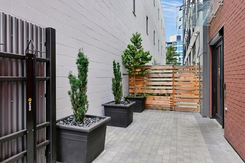 A small courtyard with a wooden fence and potted plants.
