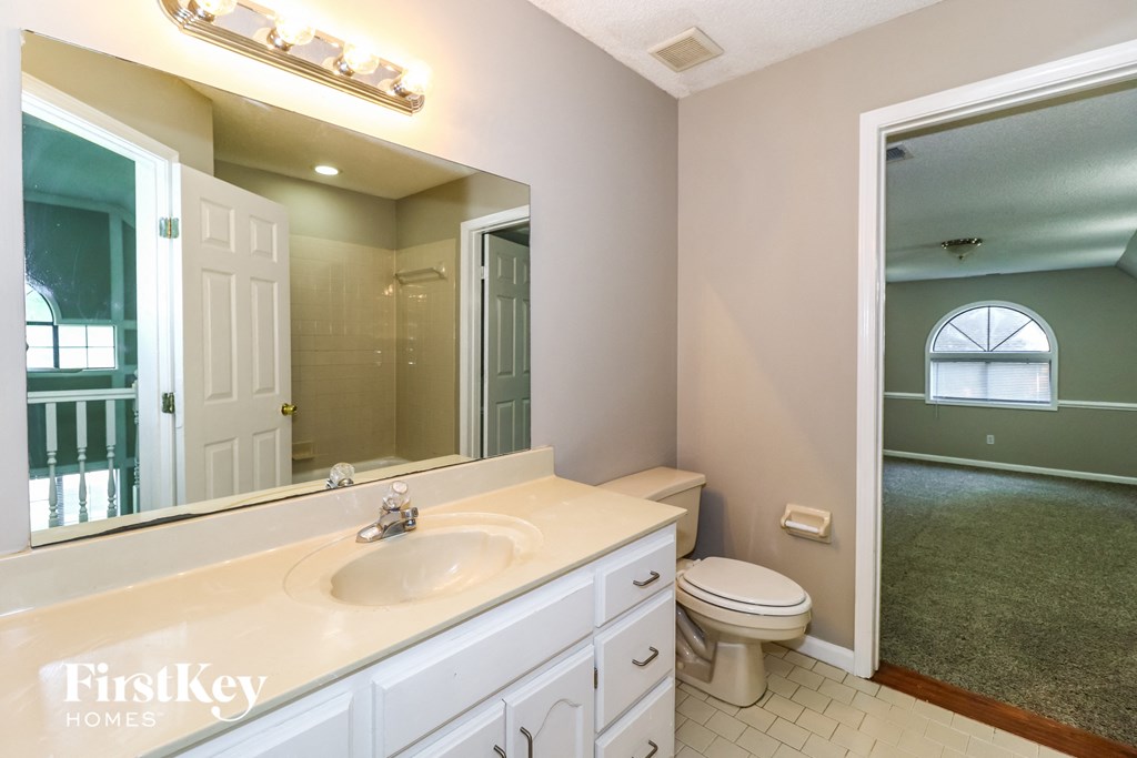 a bathroom with a sink and a toilet and a mirror