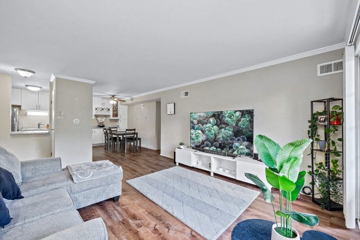 a living room with a couch and a television